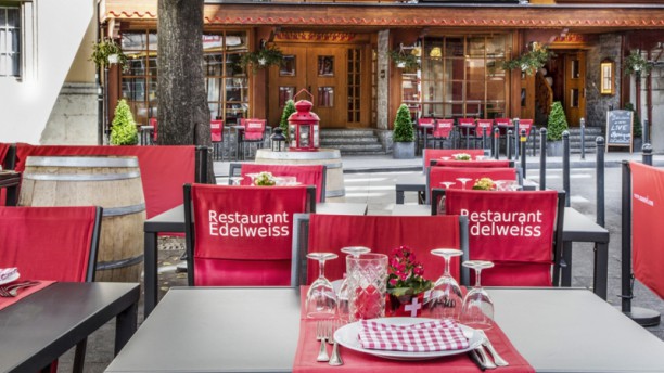 Edelweiss - Genève